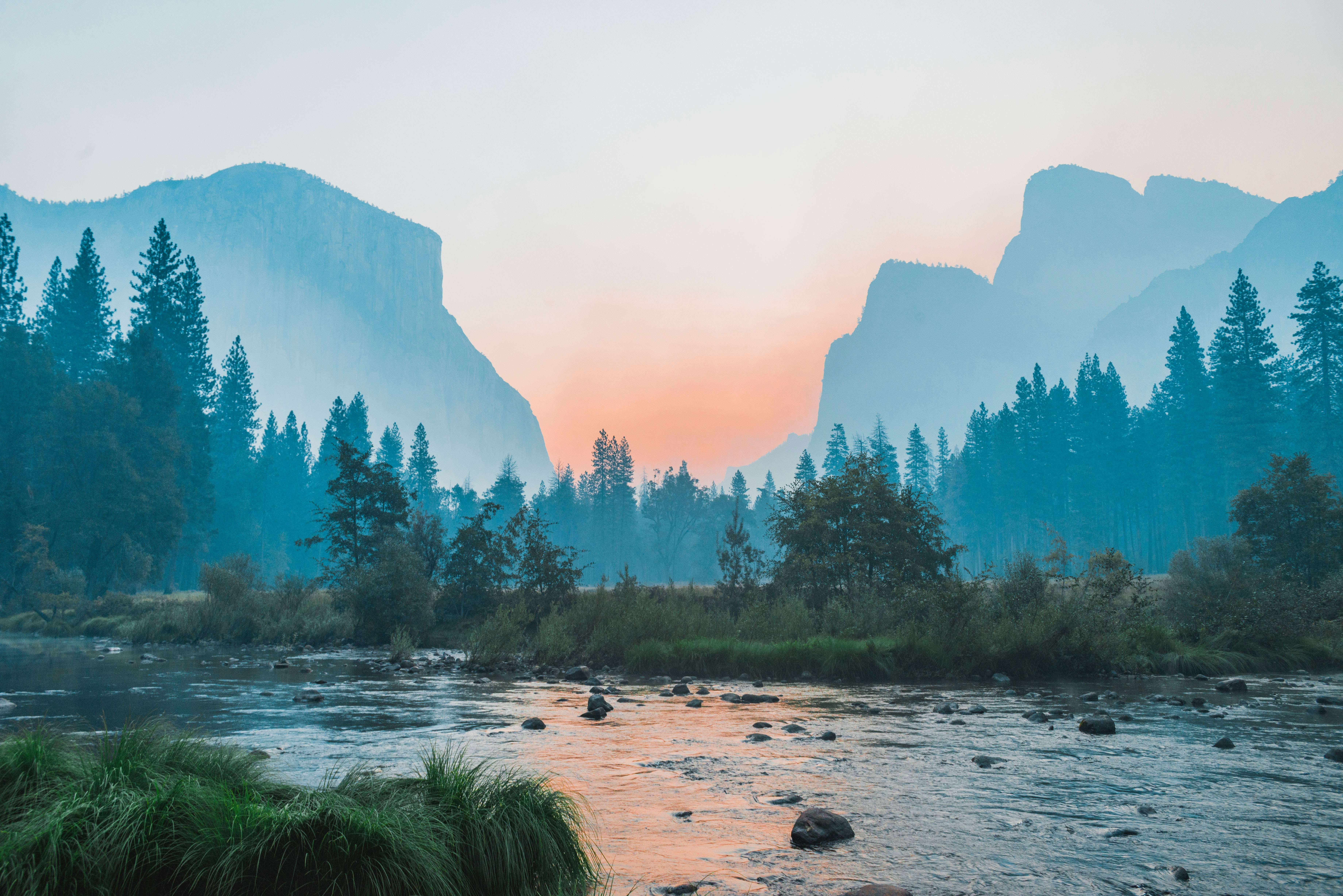 Nature-10