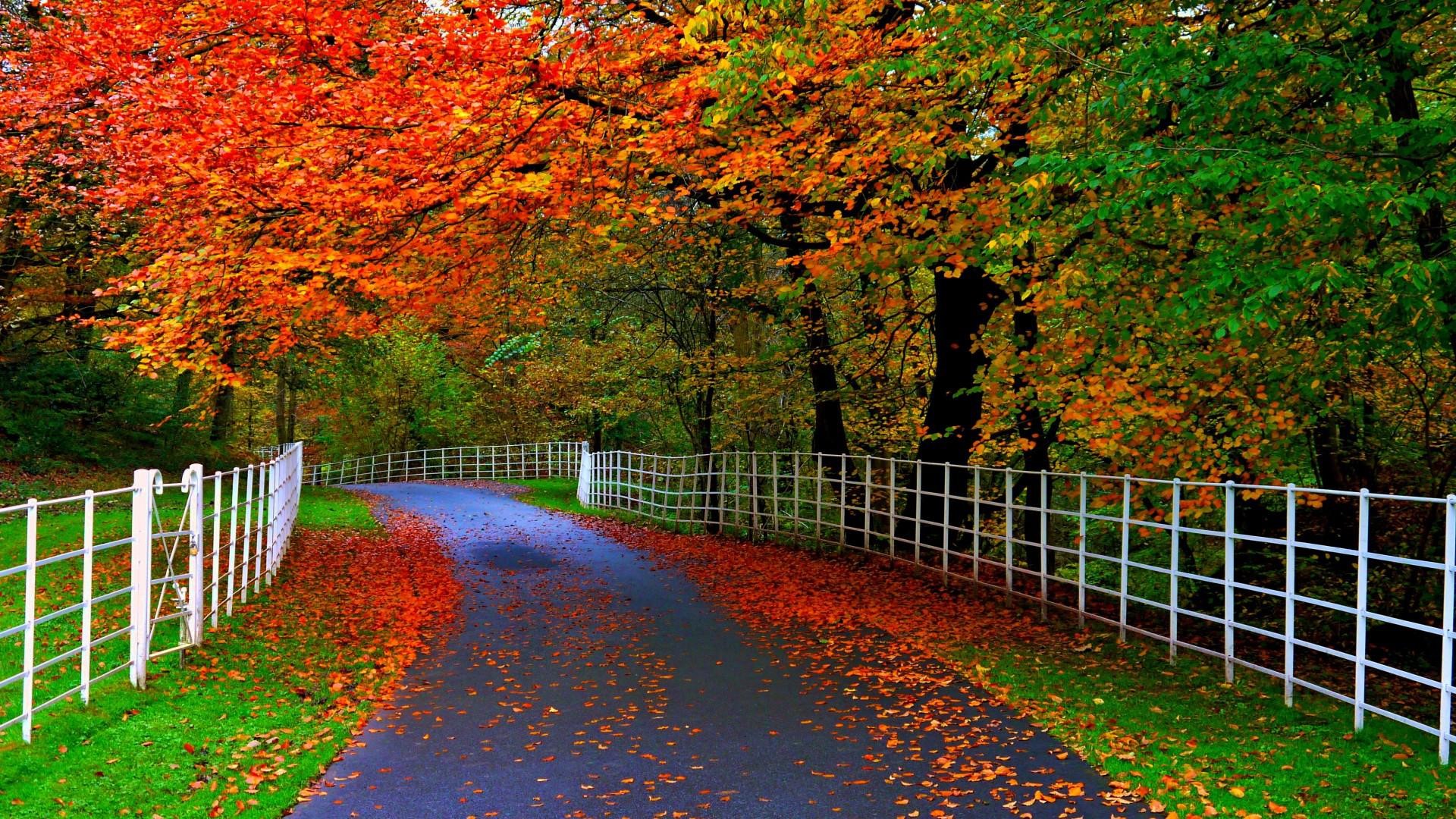 Nature-4