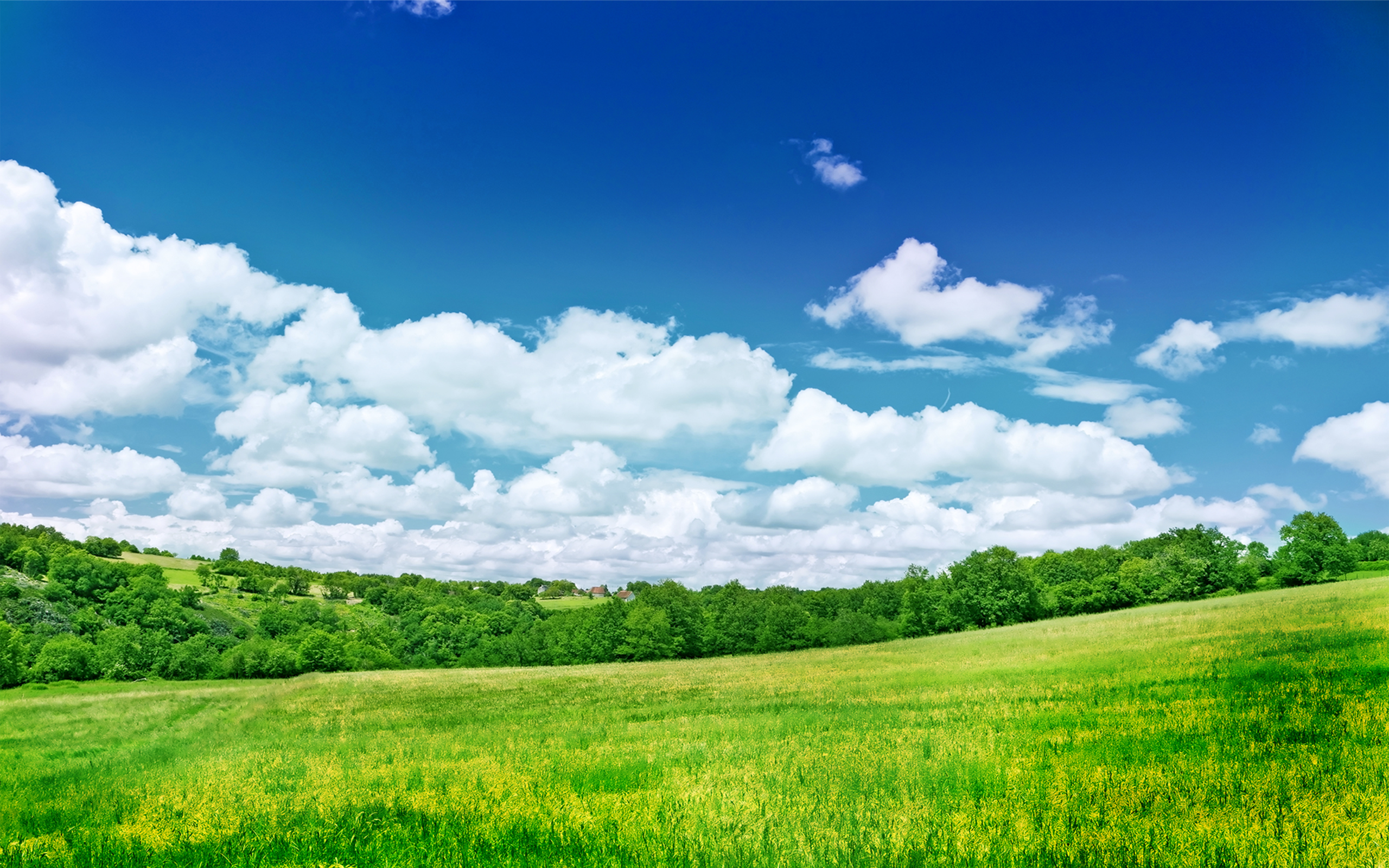 Nature-6