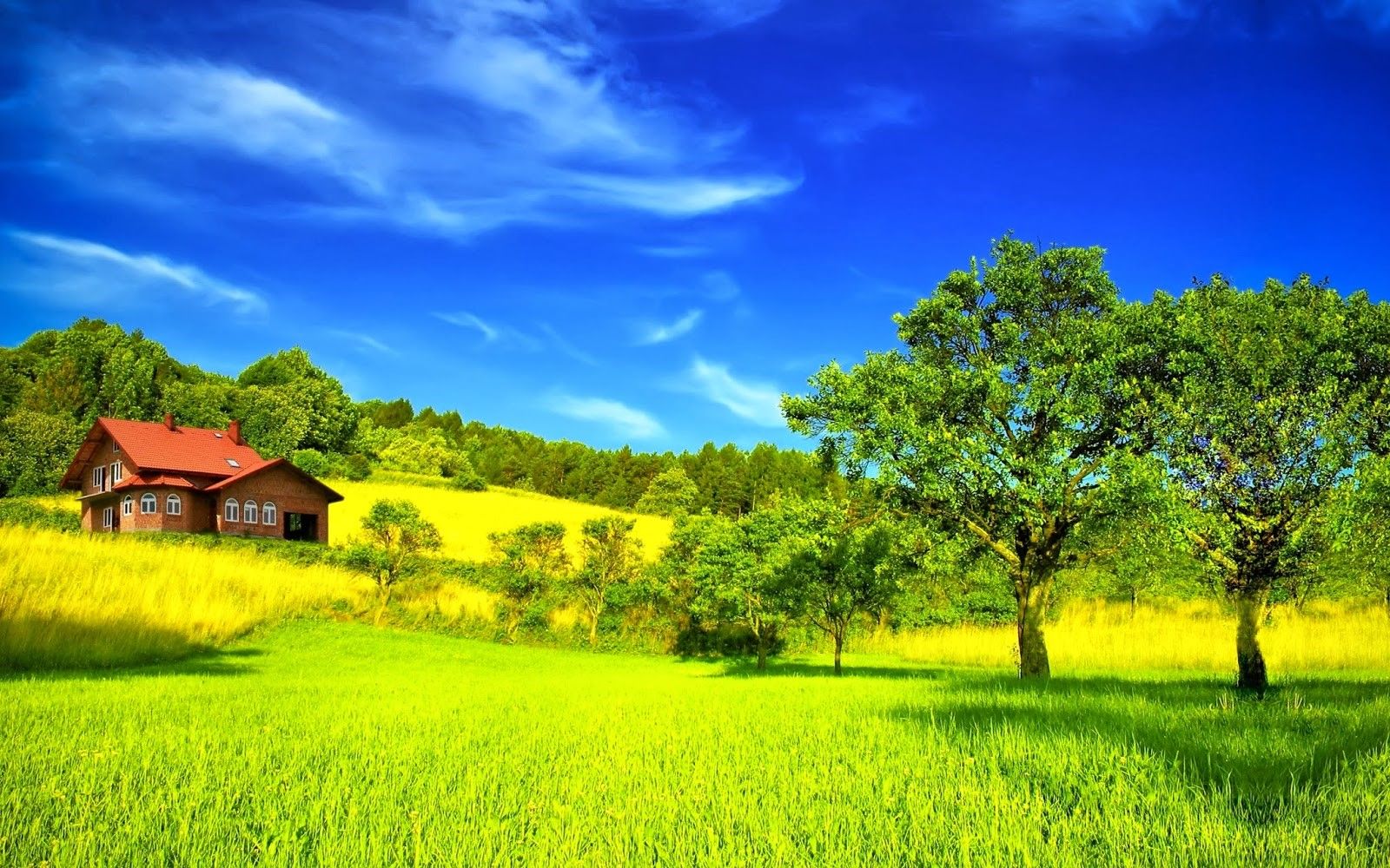 Nature-7